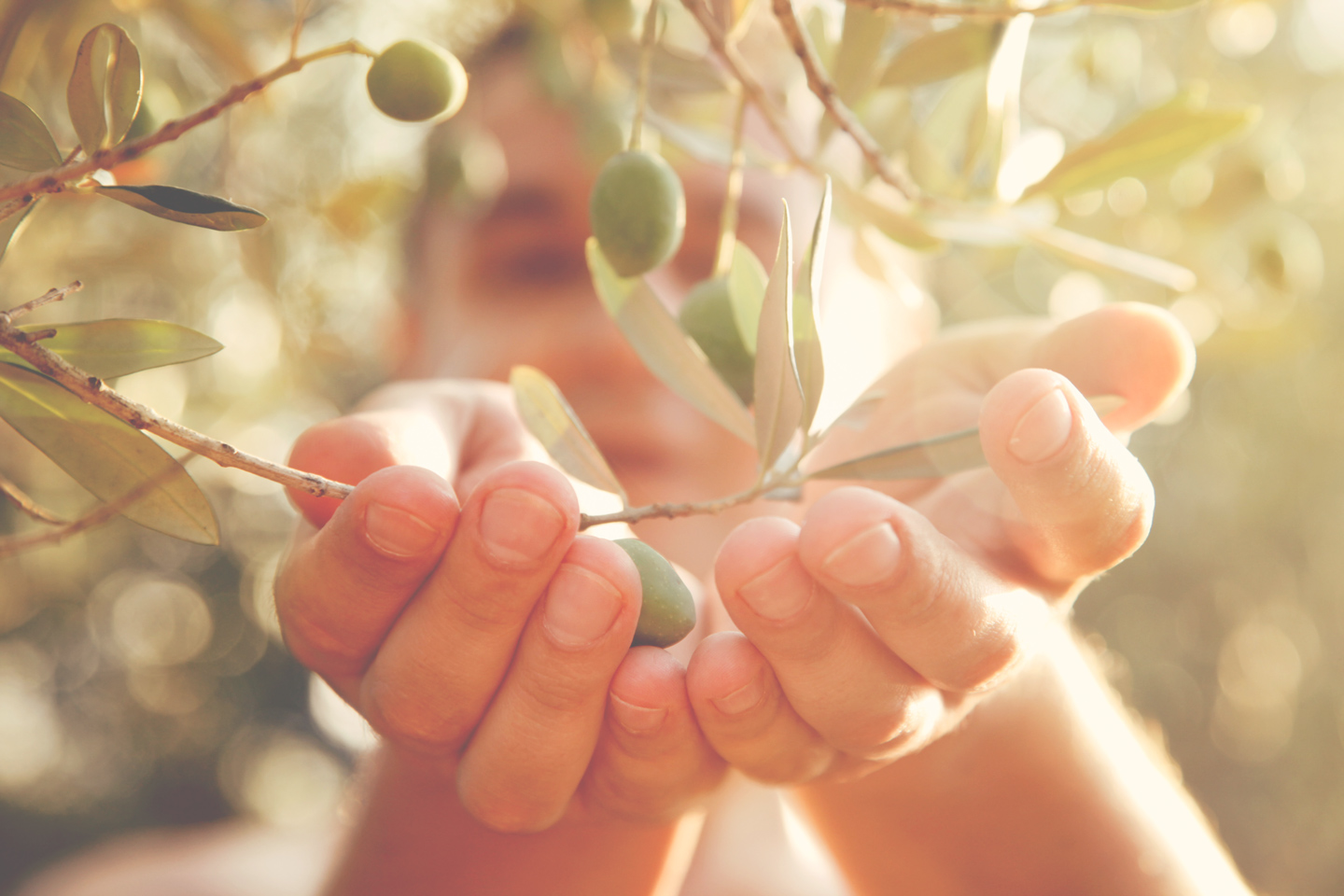 squeaky-gate-australian-extra-virgin-olive-oil