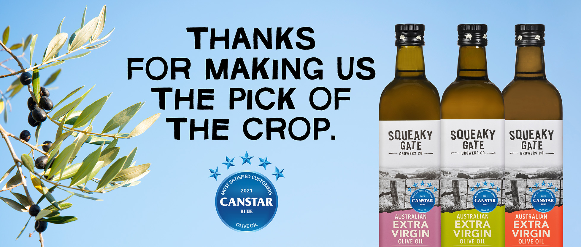 Squeaky Gate Australian Olive Oil Is Marvellous Stuff squeaky-gate-australian-olive-oil-is-marvellous-stuff